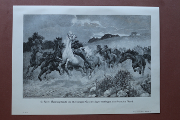 Holzstich L Koch 1890-1900 Sennespferde im ehemaligen Gestüt Lippe verfolgen ein fremdes Pferd